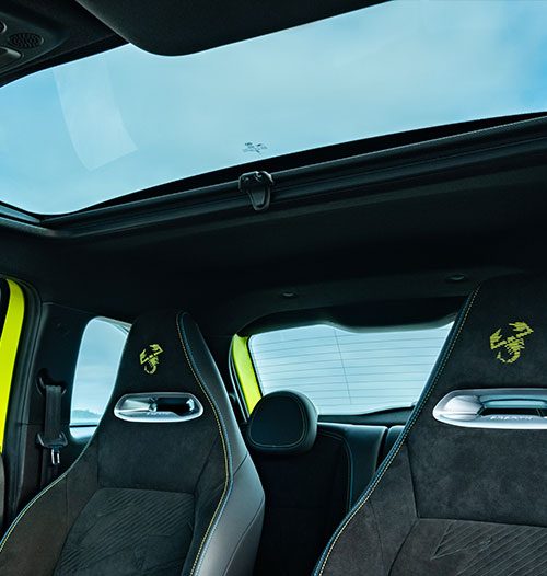 FIXED GLASS ROOF
